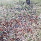 Foto: Ing. J&aacute;n N&ocirc;žka 