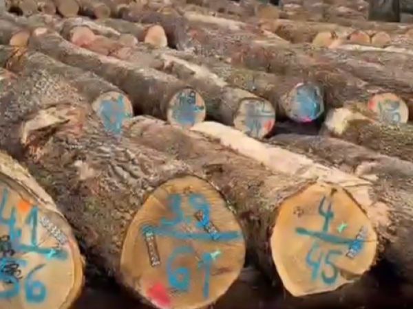 Zdroj: FB stránka LESY SR š. p. 