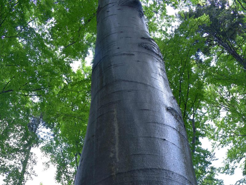 Ilustračné foto: Jozef Marko 