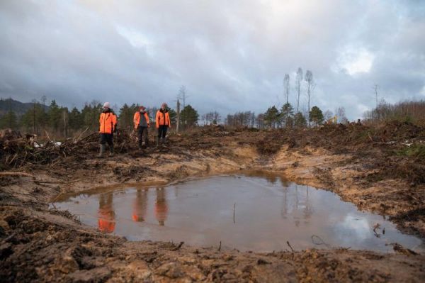 Foto: Dolnosaské štátne lesy 