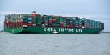 Drevo v lodných kontajneroch smeruje do Číny