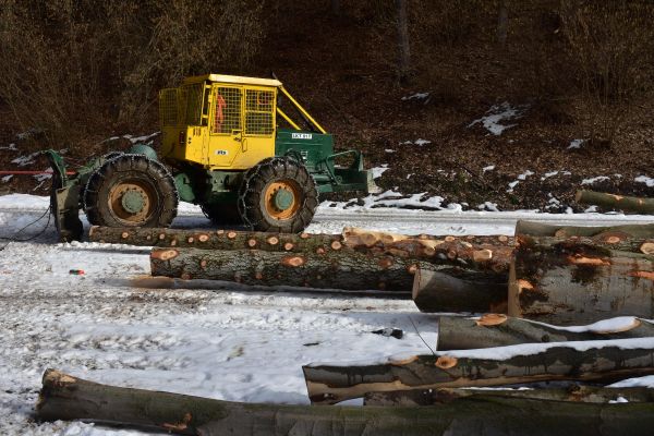 Ilustračn&eacute; foto: Jozef Marko 