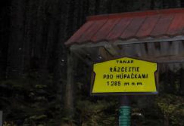 Po povodni stavaj&uacute; silnej&scaron;&iacute; most