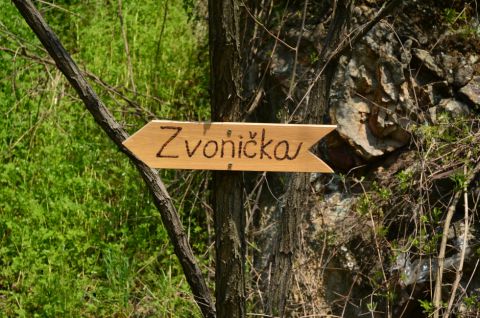 Mestské lesy vybudujú arborétum