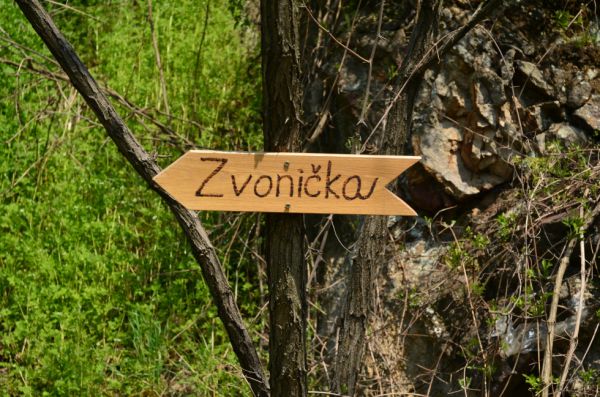 Mestsk&eacute; lesy vybuduj&uacute; arbor&eacute;tum