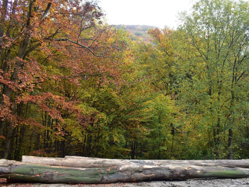 Ilustračné foto: Jozef Marko 