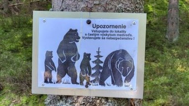 Ilustračné foto: archív Lesmedium.sk 