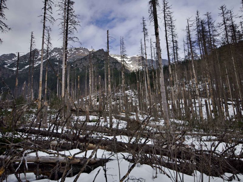 Bezz&aacute;sahov&yacute; režim v TANAP-e