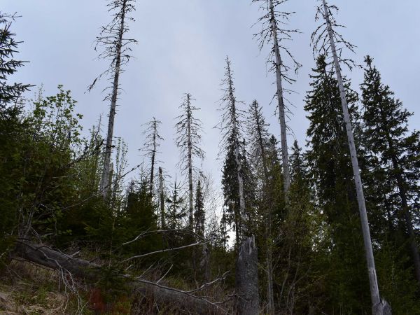 Ilustračné foto: Jozef Marko 