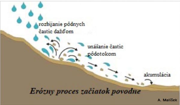 Ilustrácia: Alojz Malíšek 