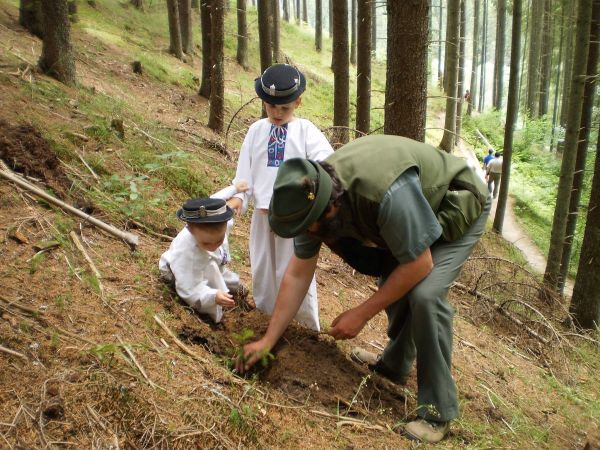 Zdroj: LESY SR š. p. 