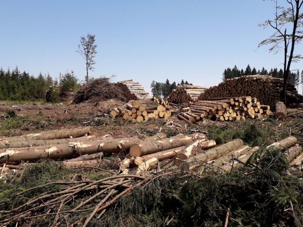 Ukážka spracovania kalamity v Českej republiky v roku 2018