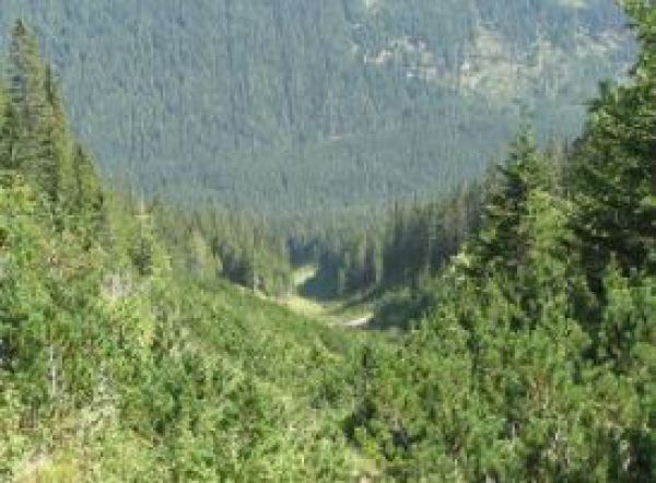 Cesta už nie je zar&uacute;ban&aacute;