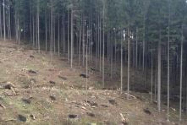 Ilustračn&eacute; foto