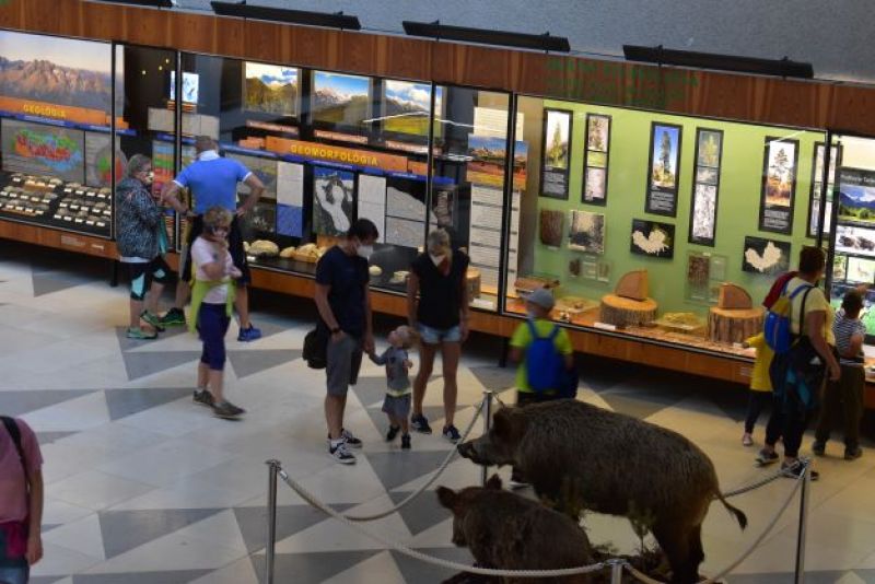 Návštevníci Expozície tatranskej prírody budú môcť znova zavítať do Múzea TANAP-u od budúcej stredy 