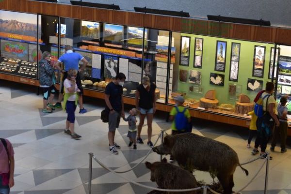 N&aacute;v&scaron;tevn&iacute;ci Expoz&iacute;cie tatranskej pr&iacute;rody bud&uacute; m&ocirc;cť znova zav&iacute;tať do M&uacute;zea TANAP-u od bud&uacute;cej stredy 