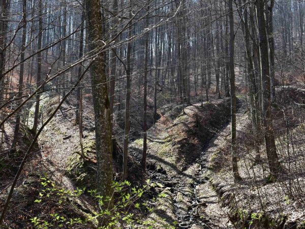 Ilustračné foto: Jozef Marko 