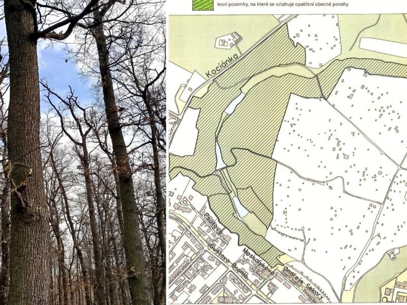 Zdroj: FB stránka ŠLP Křtiny