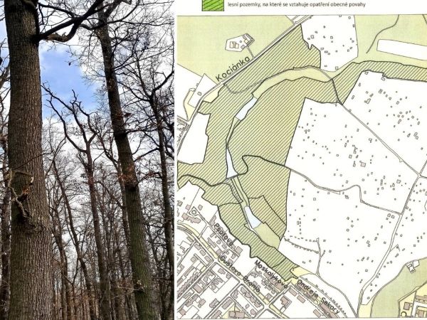 Zdroj: FB stránka ŠLP Křtiny