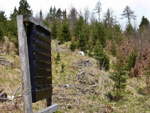 Feromónový lapač na odchyt lykožrútov 