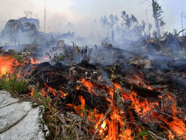 Ilustračné foto: Ing. Ján Slivinský 