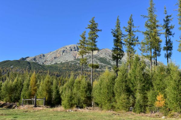 Ilustračné foto: Jozef Marko 