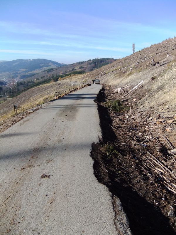 P&ocirc;vodn&eacute; kalamitn&eacute; plochy na Kysuciach, ktor&eacute; s&uacute; v s&uacute;časnosti už zalesnen&eacute; kult&uacute;rami s pestrou drevinovou &scaron;trukt&uacute;rou