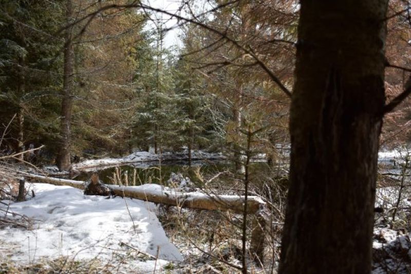 Bobria hrádza a jej okolie 