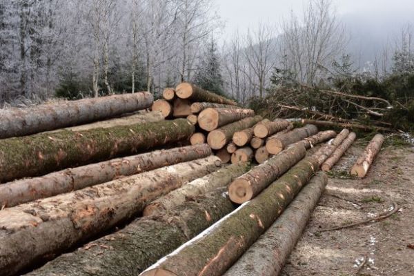 Ilustračné foto Jozef Marko