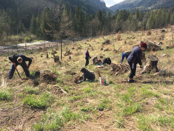 Ilustračn&eacute; foto