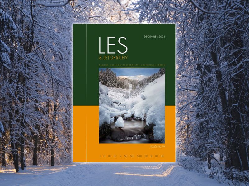 LES &amp; Letokruhy DECEMBER 2023