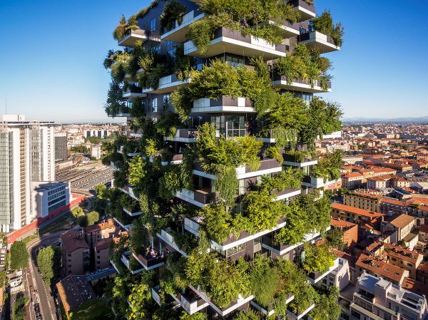 Vertik&aacute;lny les v mestskej džungli