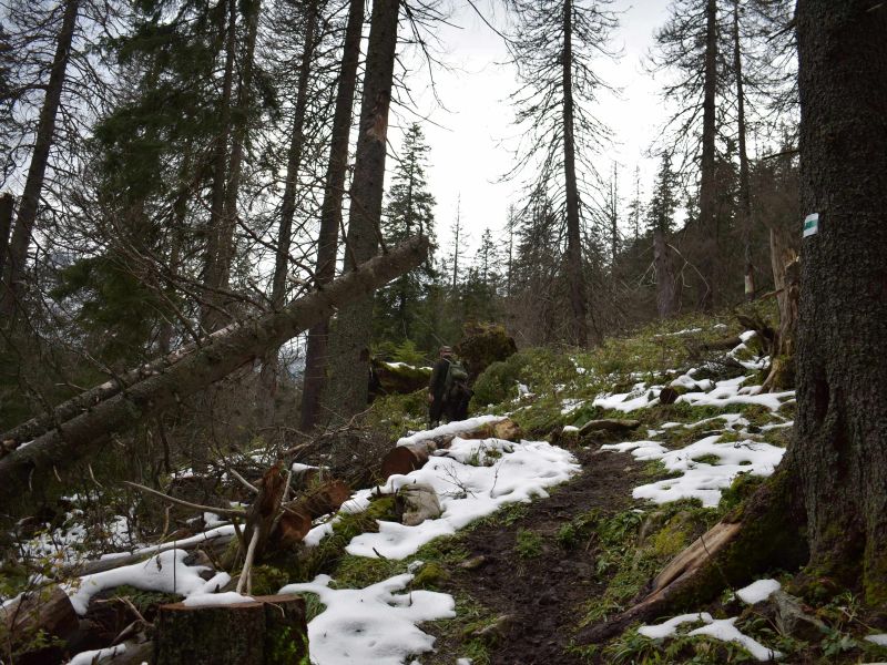 Turistick&yacute; chodn&iacute;k v Javorovej doline 