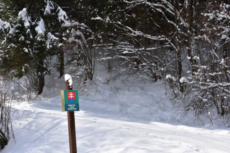 Ilustračné foto Jozef Marko