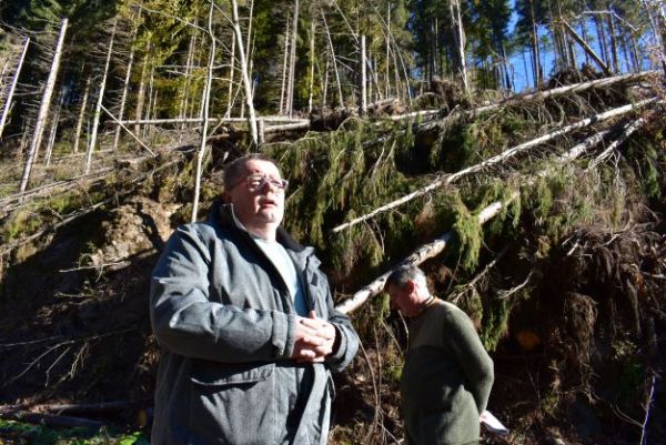 Ing. Pavol Hlav&aacute;č, PhD. pri kalamitisku na Čiernom V&aacute;hu. V pozad&iacute; Ing. Milan Dolňan, predseda Slovenskej lesn&iacute;ckej komory, ktor&aacute; stretnutie odborn&iacute;kov zorganizovala 