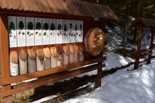 Ilustračn&eacute; foto Jozef Marko