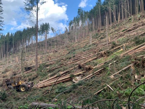Vetrová kalamita z júla tohto roka na Liptove, ktprú spracovávajú LESY SR 