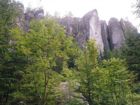 Ilustračné foto: archív Lesmedium.sk 