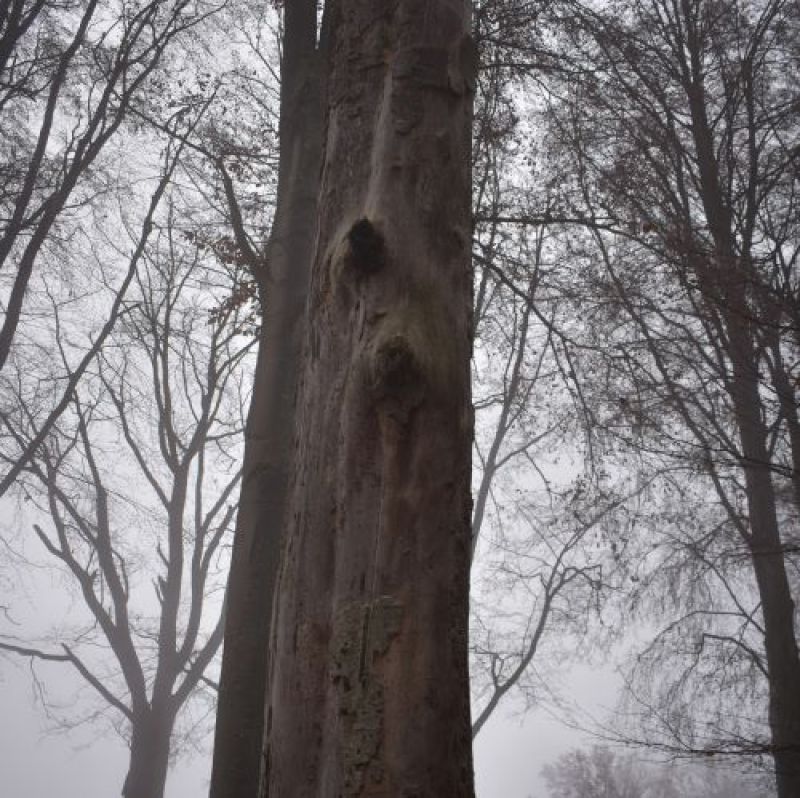 Ilustračné foto Jozef Marko