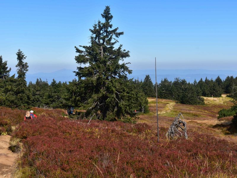 Ilustračné foto: Jozef Marko 