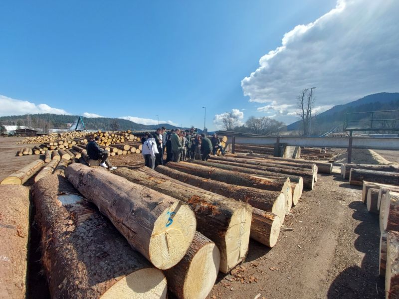 Ilustračné foto: FB stránka LESY SR š. p. 