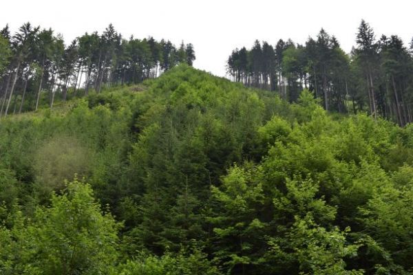 Ilustračn&eacute; foto Jozef Marko