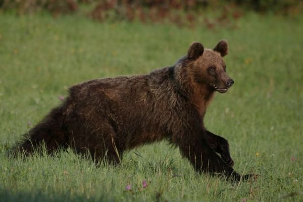 Ilustračn&eacute; foto: Ing. Pavol Lenko 