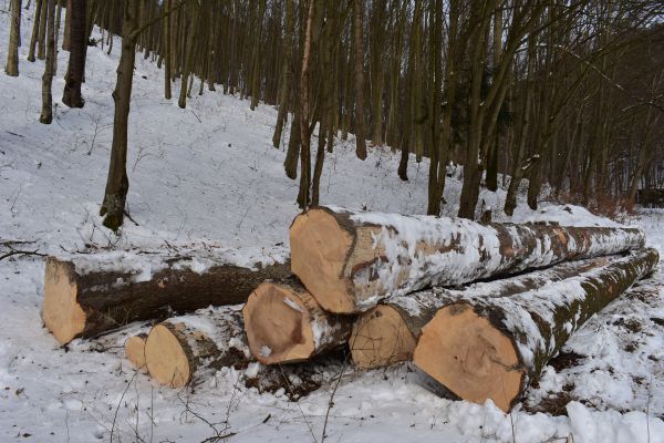 Ilustračn&eacute; foto Jozef Marko