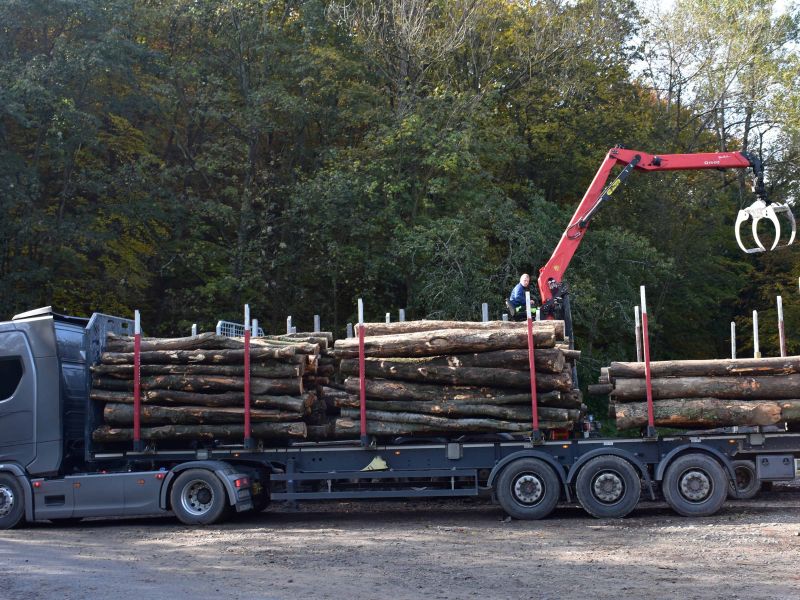 Ilustračn&eacute; foto: Jozef Marko 