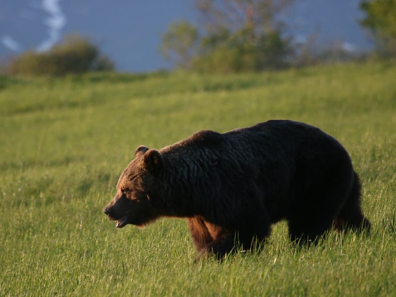 Ilustračné foto: Ing. Pavol Lenko 