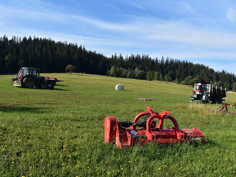 Ilustračné foto: Jozef Marko 