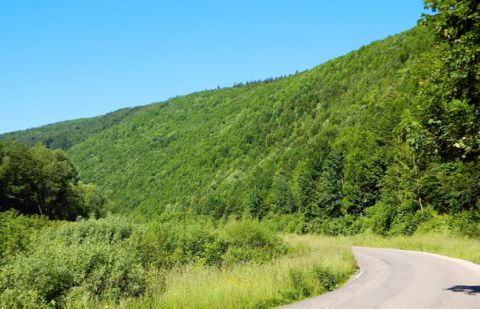 A bolo by hádam povedať aj dosť