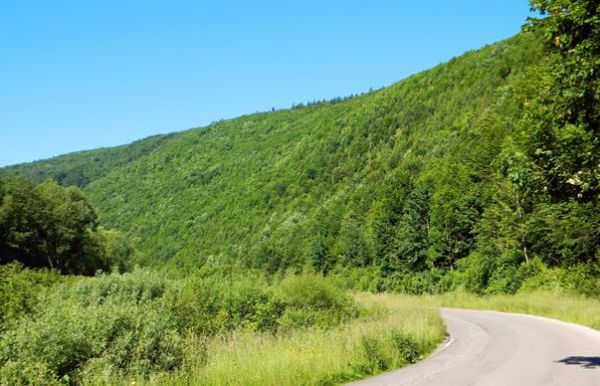 A bolo by h&aacute;dam povedať aj dosť