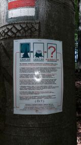 Takto vyzer&aacute; plag&aacute;t na strome v poraste